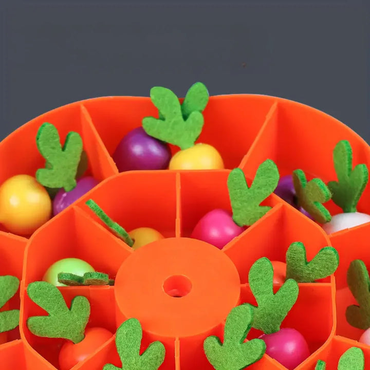 Karotten-Ernte Gedächtnisspiel