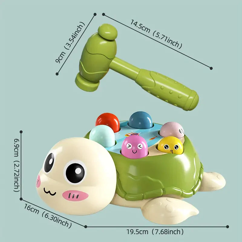 Schildkröten Hammer Spielzeug